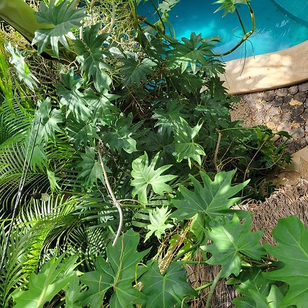 The Secret Garden Tulum Appartement Buitenkant foto