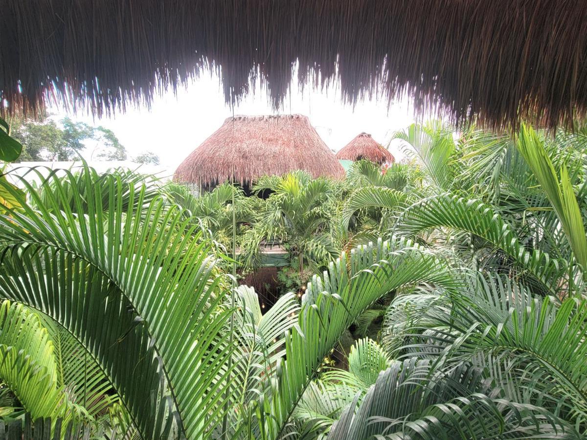 The Secret Garden Tulum Appartement Buitenkant foto