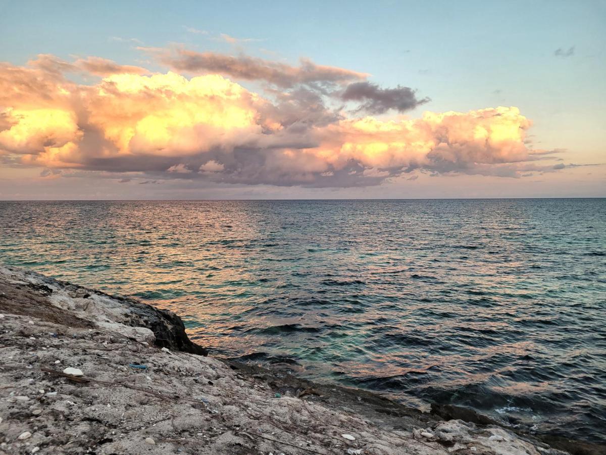 The Secret Garden Tulum Appartement Buitenkant foto