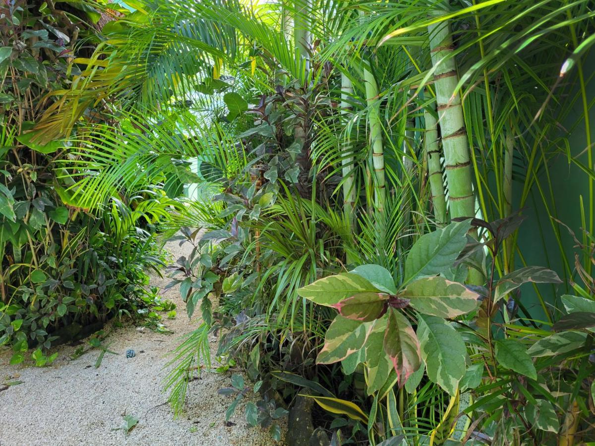 The Secret Garden Tulum Appartement Buitenkant foto