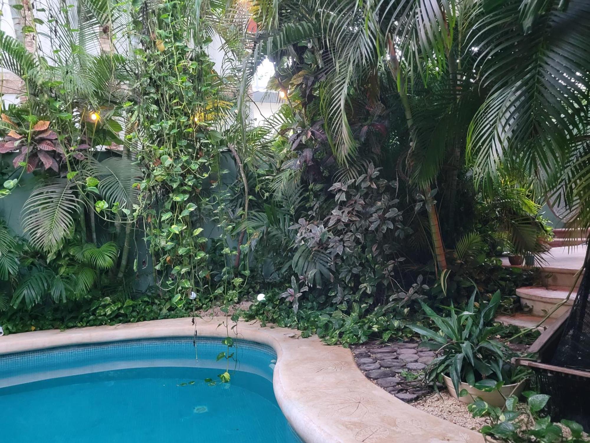 The Secret Garden Tulum Appartement Buitenkant foto