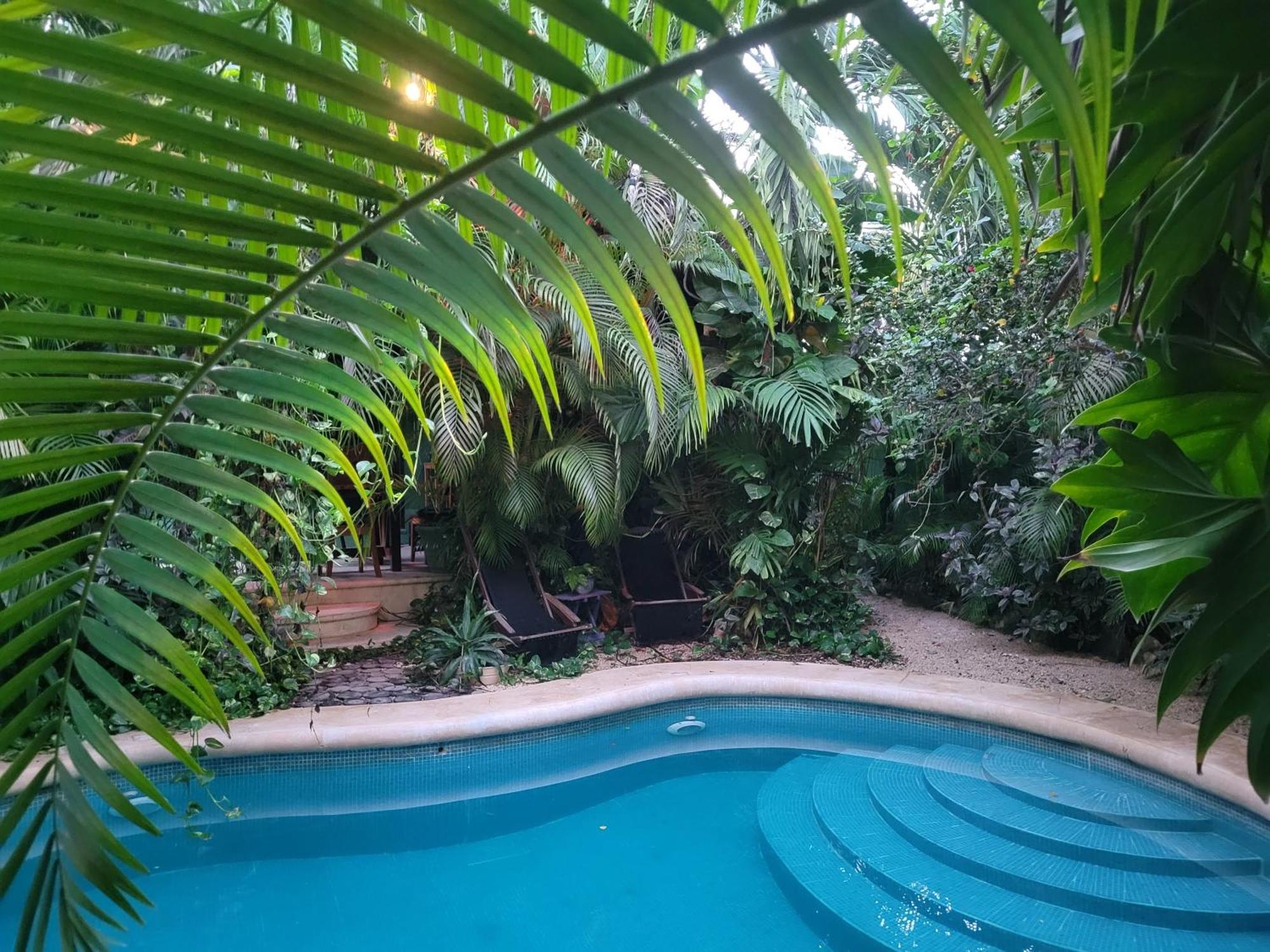 The Secret Garden Tulum Appartement Buitenkant foto