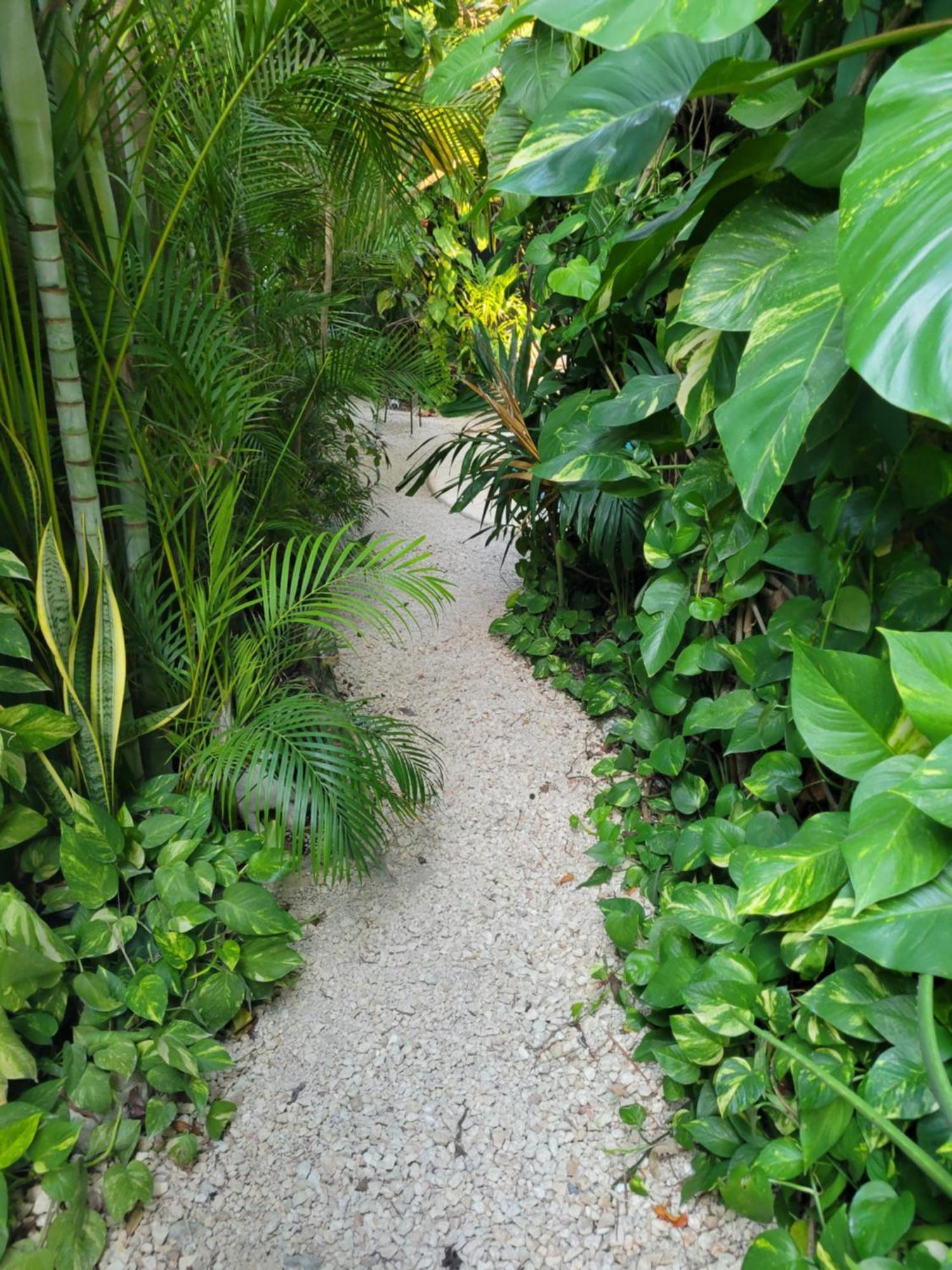 The Secret Garden Tulum Appartement Buitenkant foto