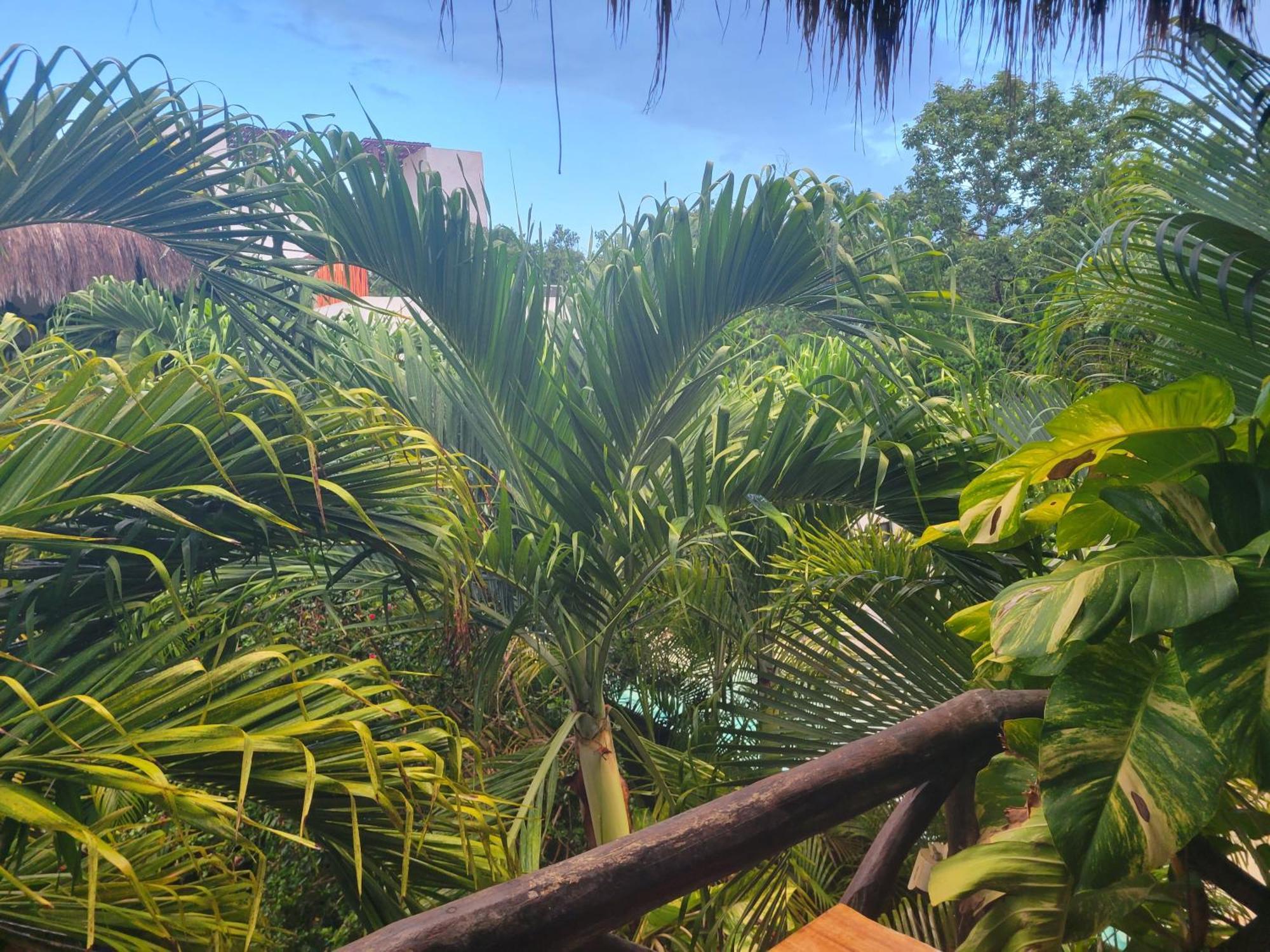 The Secret Garden Tulum Appartement Buitenkant foto